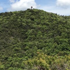 5月8日　散策