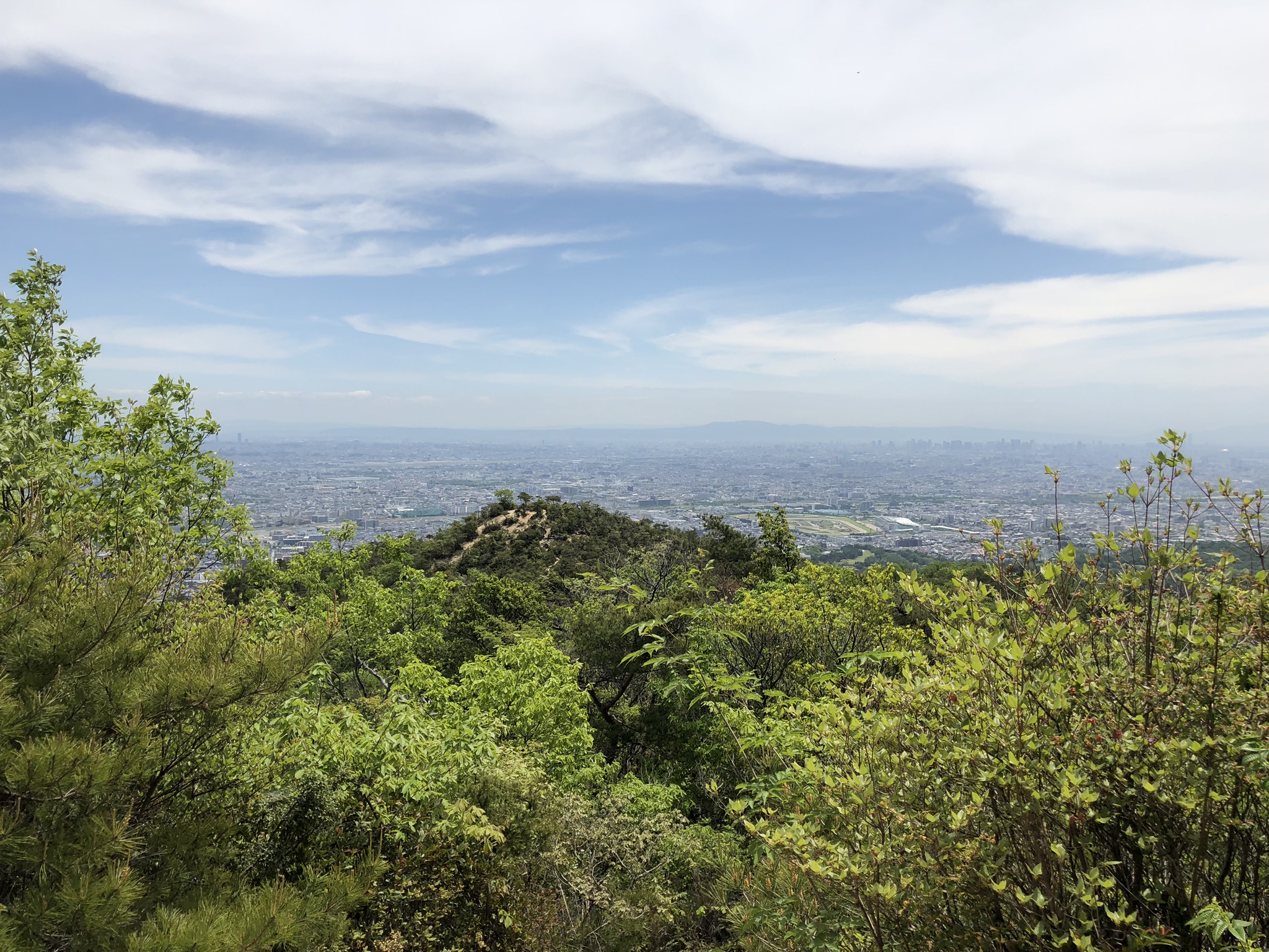 5月8日　散策