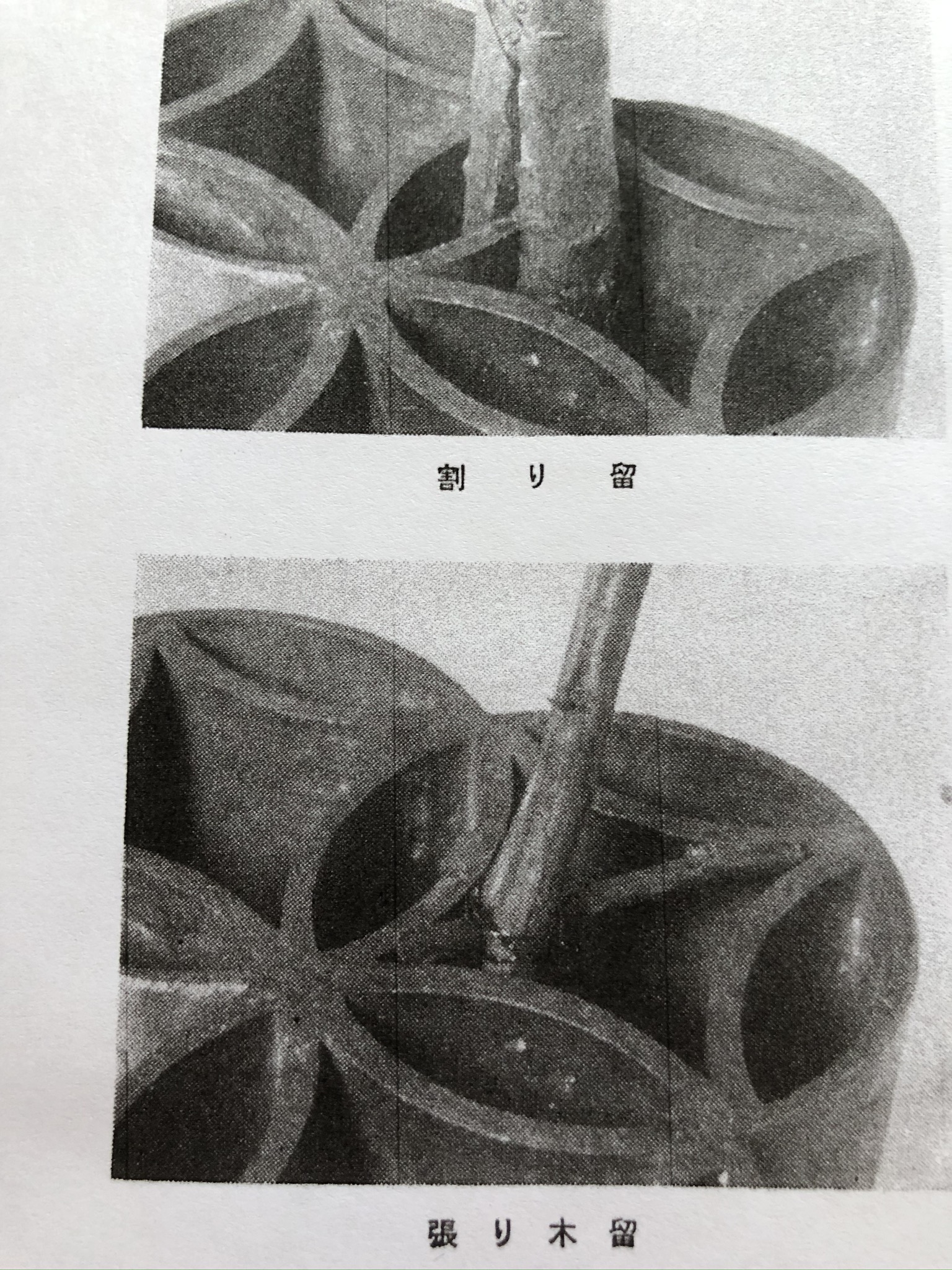 盛花　七宝に留める