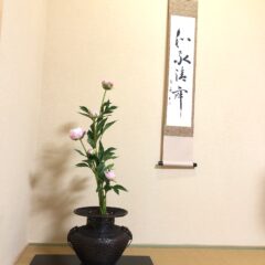 芍薬と牡丹