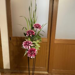 菖蒲をいける