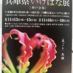 兵庫県いけばな展